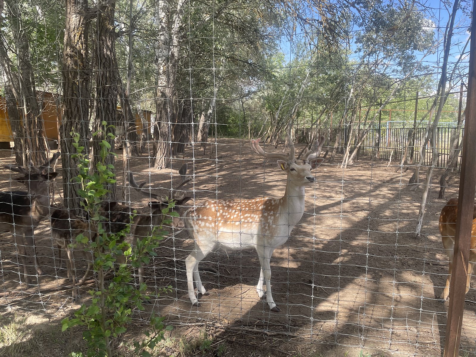 Фото 142 из отзыва о базе отдыха Донская Миля
