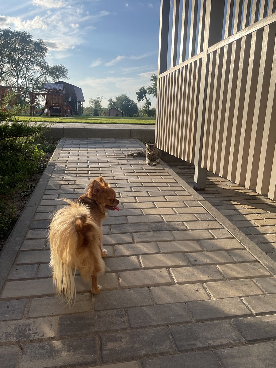 Фото 143 из отзыва о базе отдыха Донская Миля