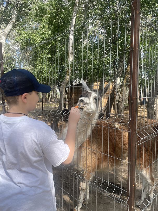 Фото 4 из отзыва о базе отдыха Донская Миля