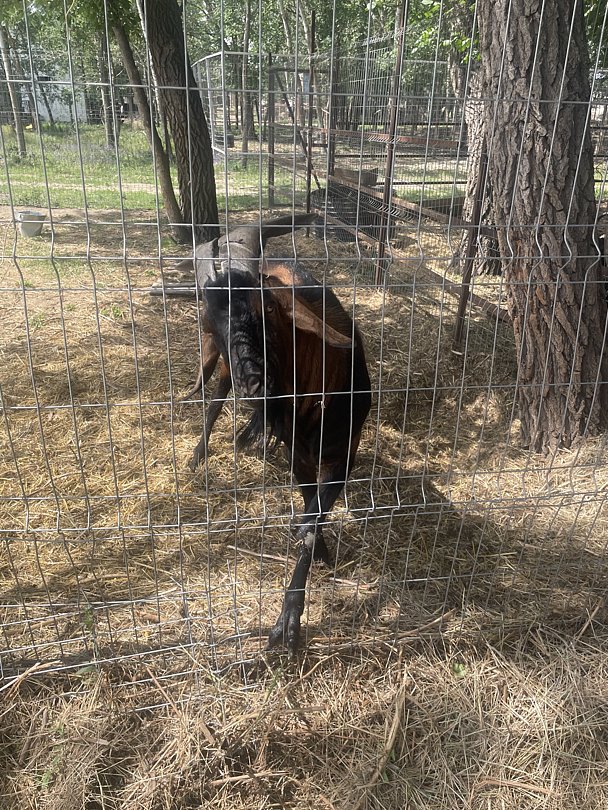 Фото 7 из отзыва о базе отдыха Донская Миля