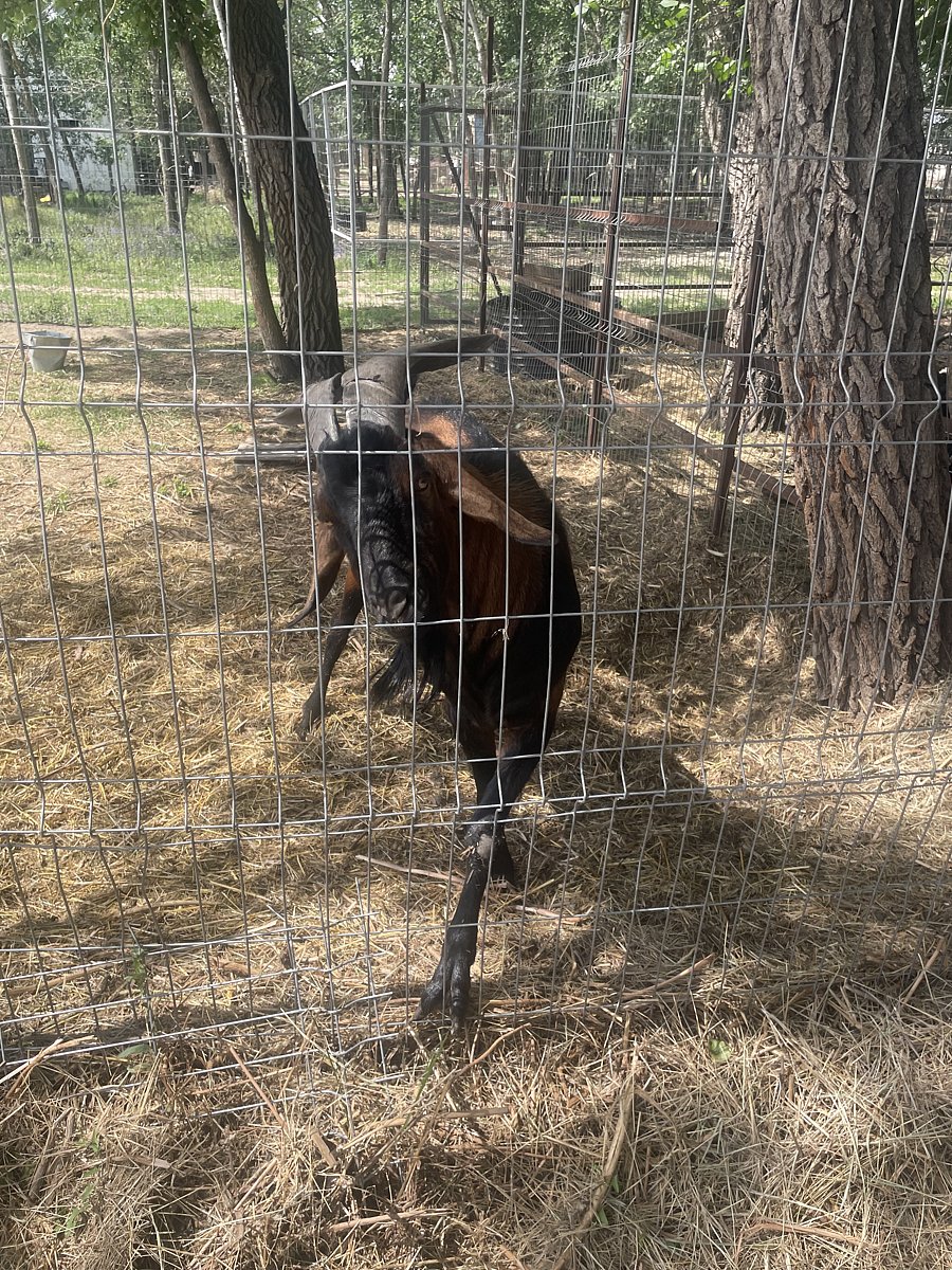 Фото 148 из отзыва о базе отдыха Донская Миля