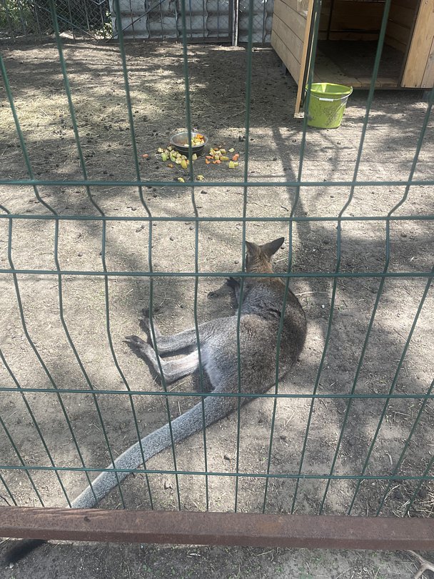 Фото 6 из отзыва о базе отдыха Донская Миля