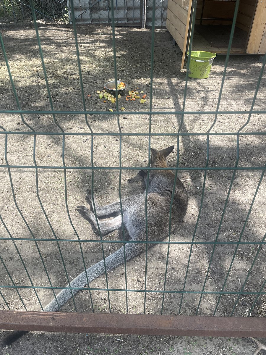 Фото 147 из отзыва о базе отдыха Донская Миля