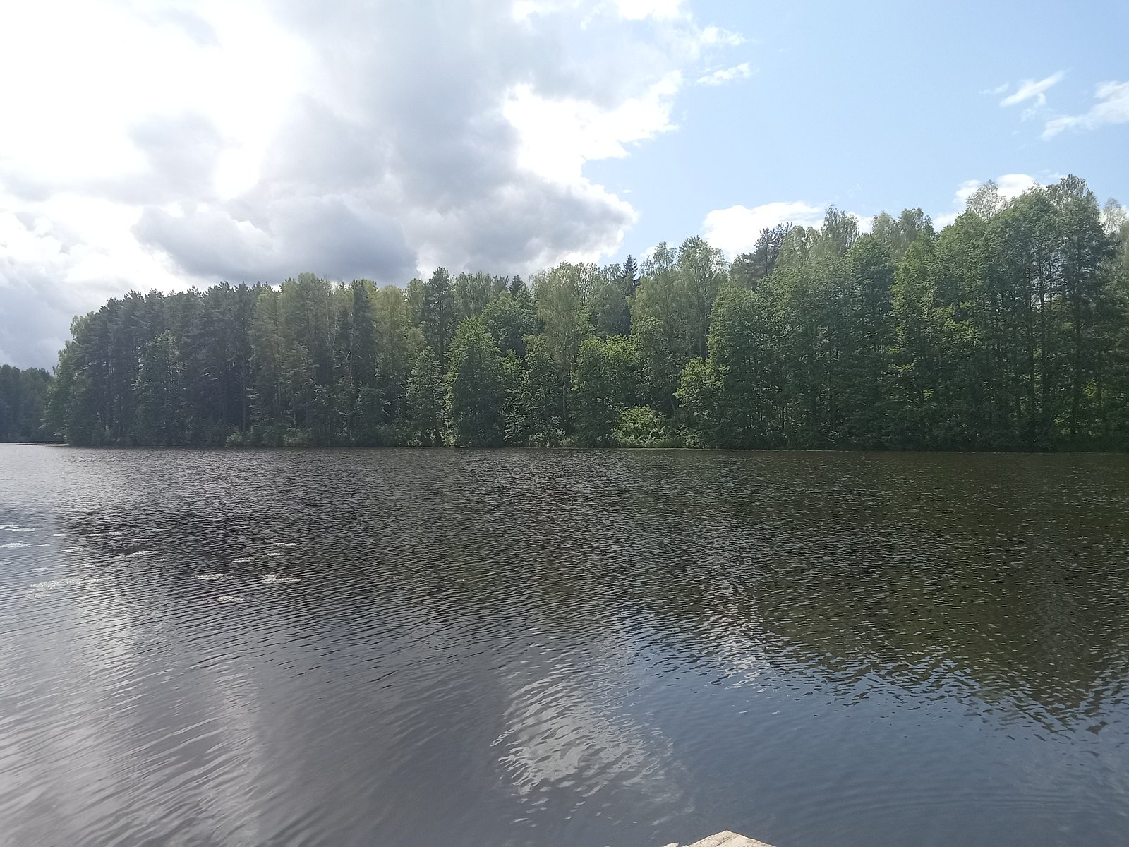 Фото 3 из отзыва о доме в аренду Колпино