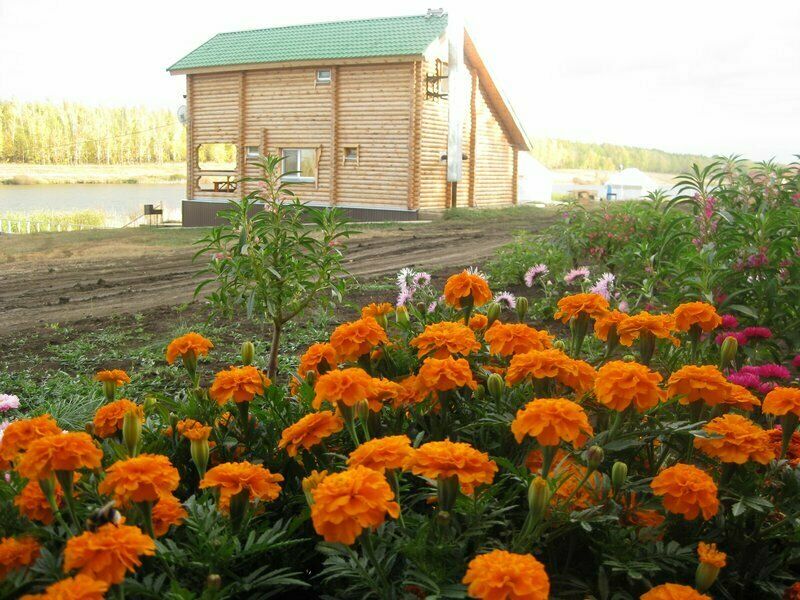 Три Озера, Самарская область: фото 4