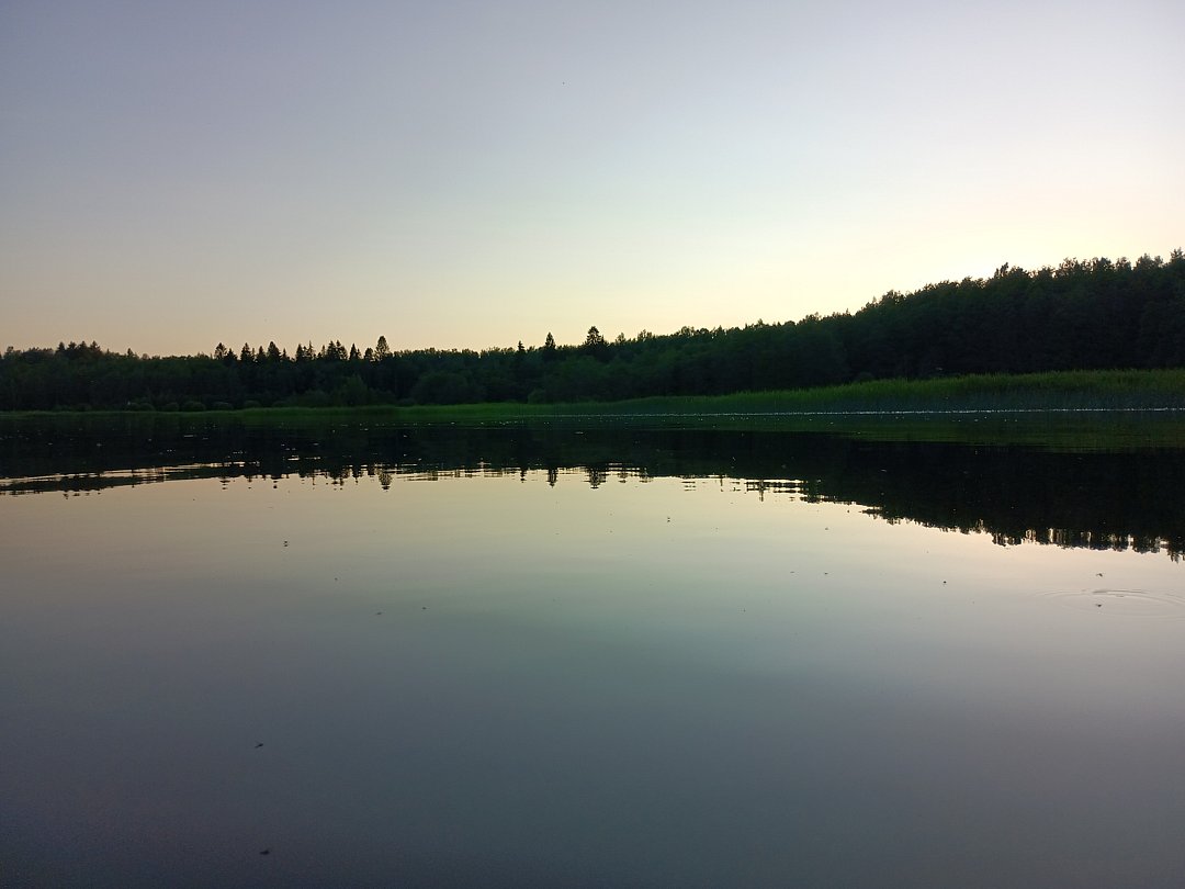 Фото 1 из отзыва о гостевом доме Хутор у залива