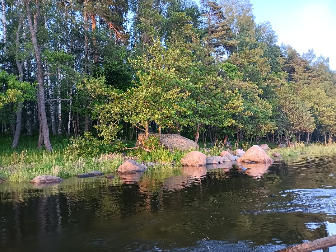 Фото 3 из отзыва о гостевом доме Хутор у залива