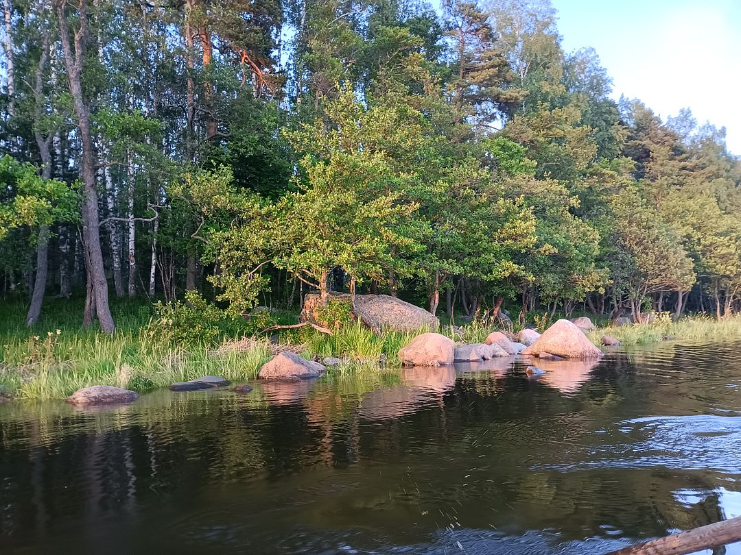 Фото 3 из отзыва о гостевом доме Хутор у залива