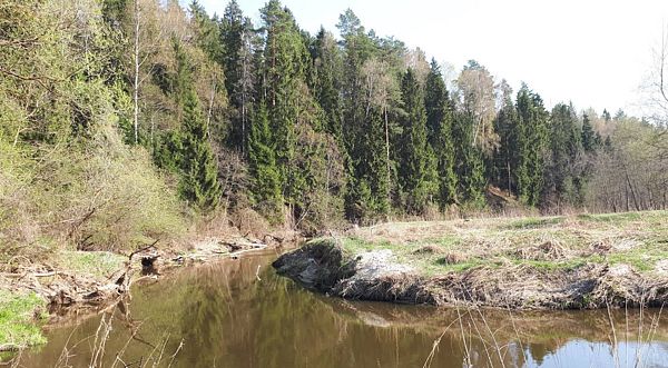 Река Торгоша