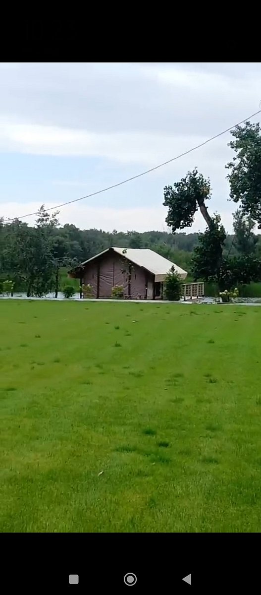 Фото 131 из отзыва о базе отдыха Донская Миля