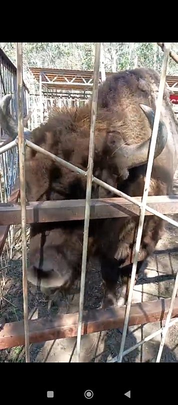 Фото 1 из отзыва о базе отдыха Донская Миля