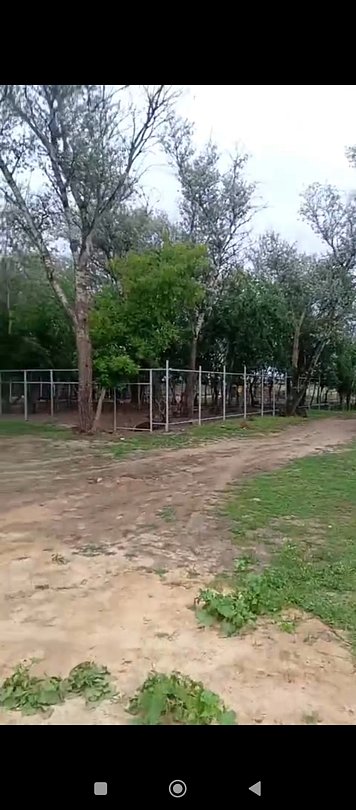 Фото 7 из отзыва о базе отдыха Донская Миля