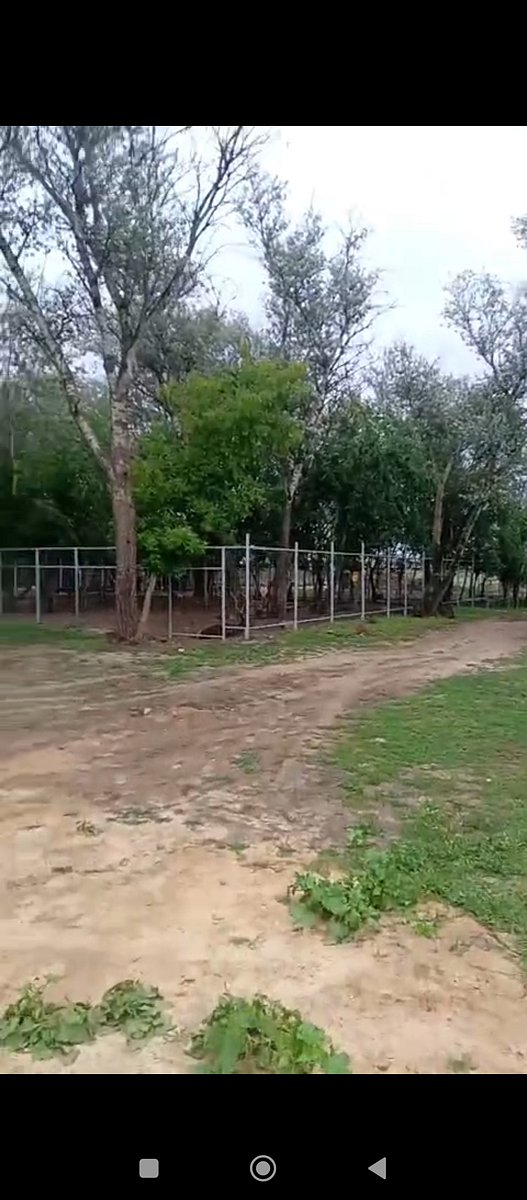 Фото 136 из отзыва о базе отдыха Донская Миля