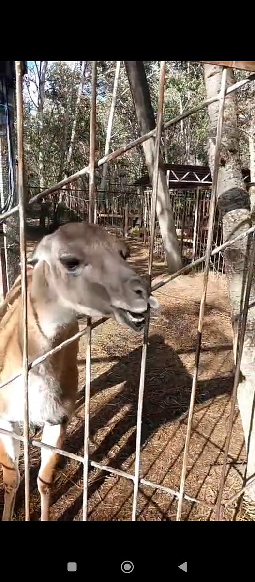 Фото 139 из отзыва о базе отдыха Донская Миля