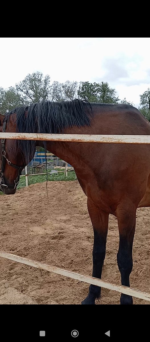 Фото 138 из отзыва о базе отдыха Донская Миля