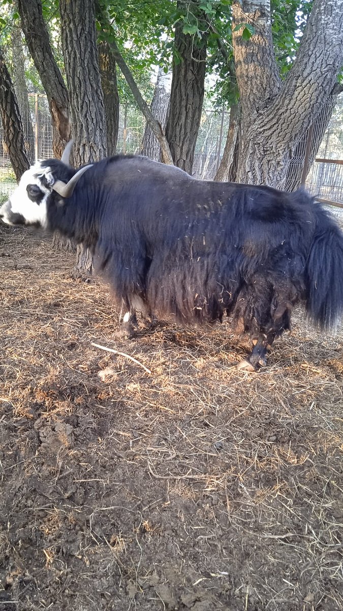 Фото 127 из отзыва о базе отдыха Донская Миля