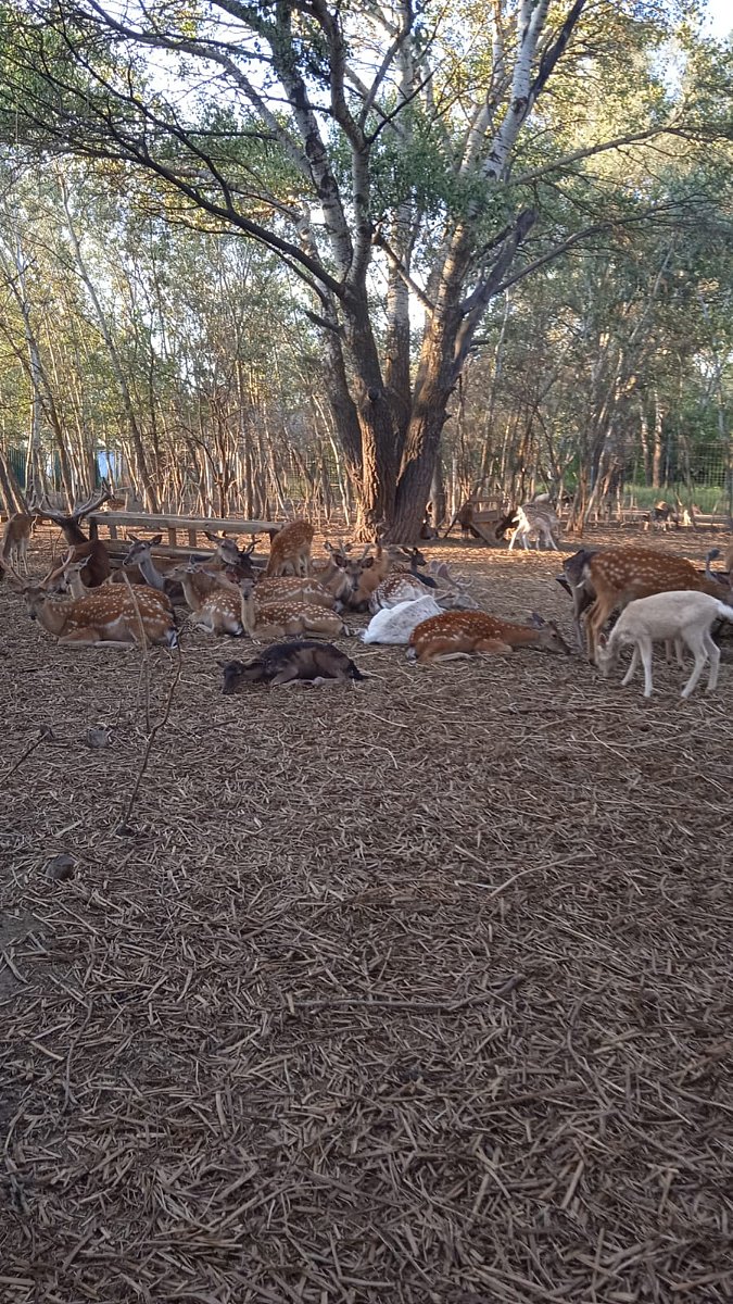 Фото 129 из отзыва о базе отдыха Донская Миля