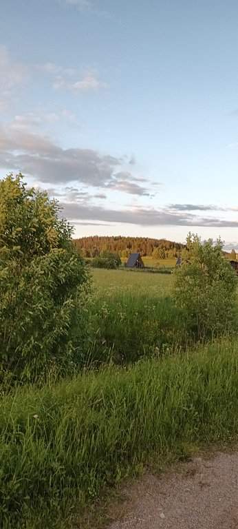 Фото из отзыва от 25.06.2025