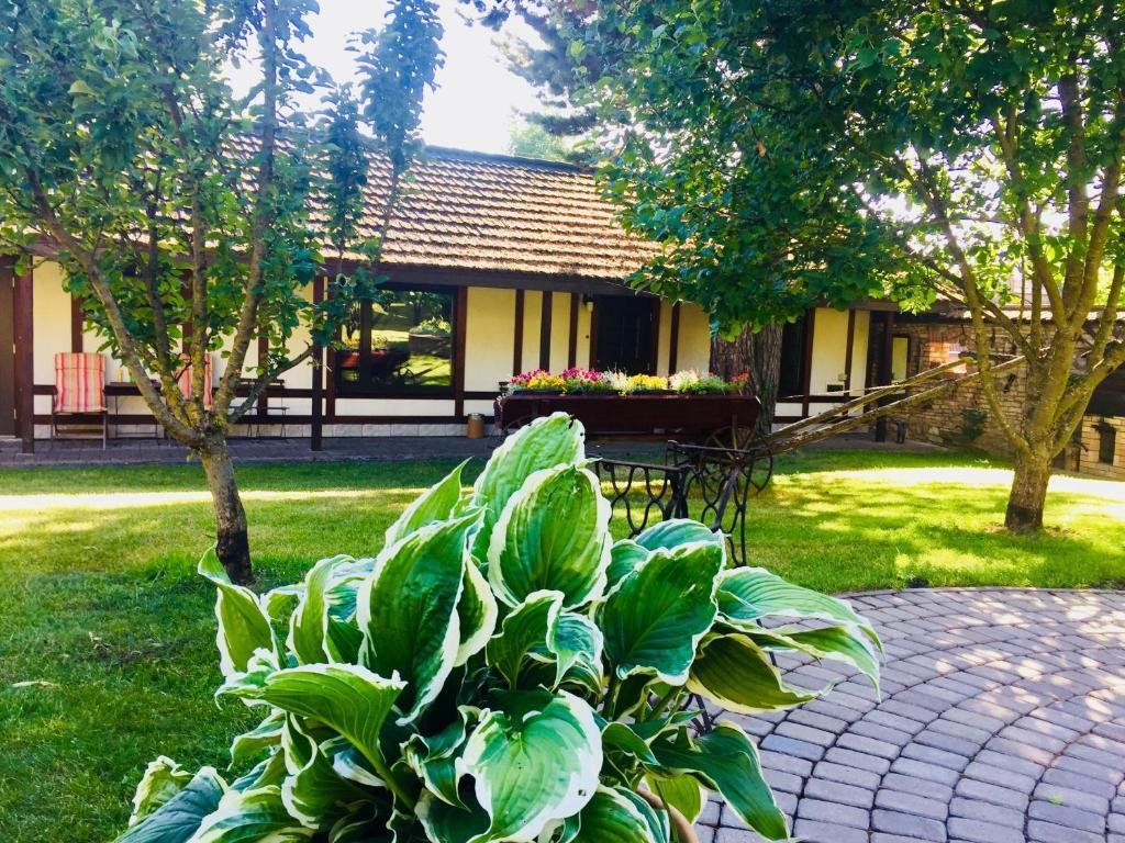 Гостевой дом Форест грин, Псковская область: фото 2