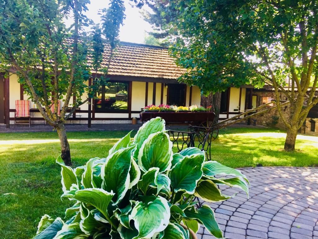 Гостевой дом Форест грин, Псковская область: фото 2