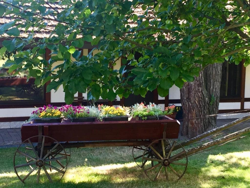 Гостевой дом Форест грин, Псковская область: фото 4