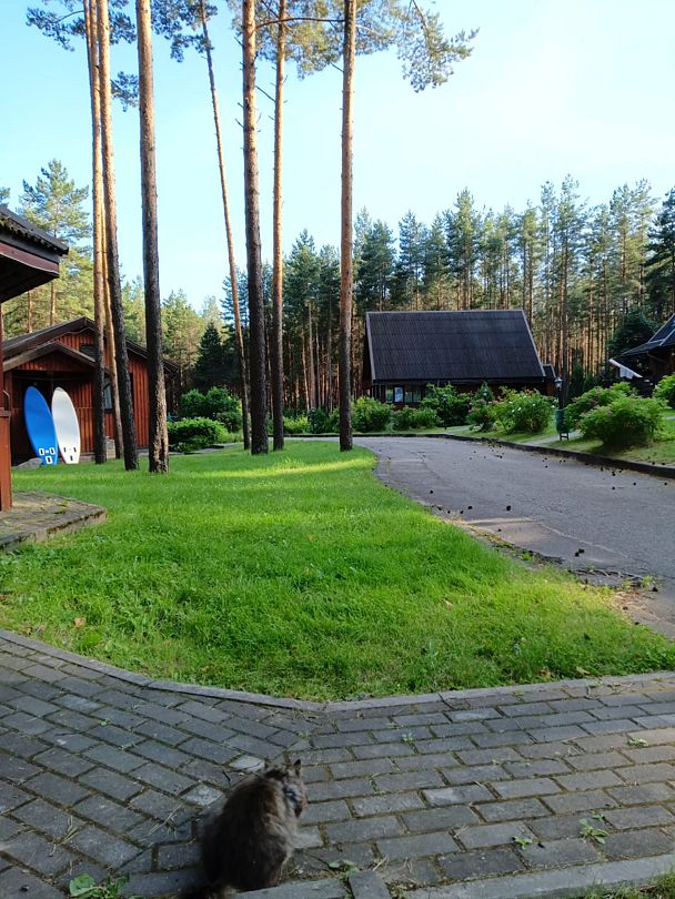 Фото 4 из отзыва о базе отдыха Калацкое