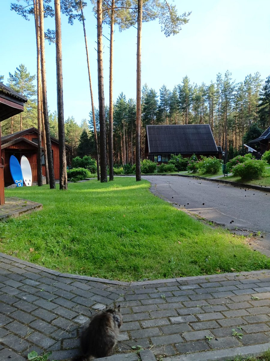 Фото 4 из отзыва о базе отдыха Калацкое