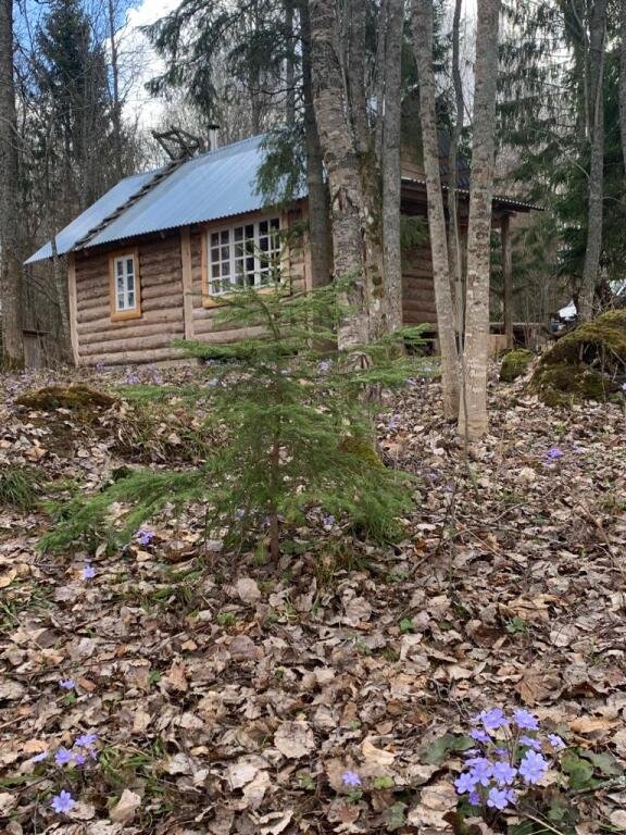 Бунгало Изба Рыбака Хутор Каменюк, Псковская область, деревня Гнеталово 