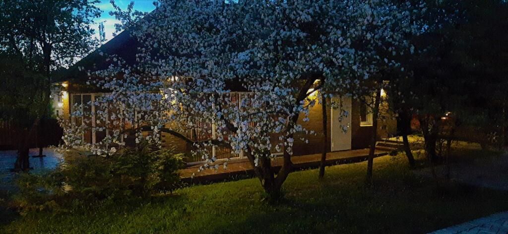 Гостевой дом у Иветты, Псковская область: фото 3