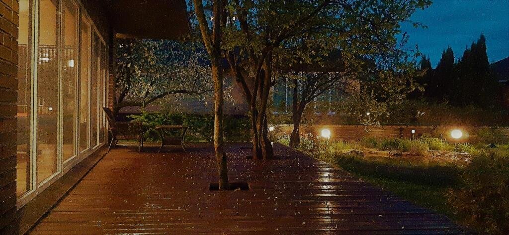 Гостевой дом у Иветты, Псковская область: фото 4