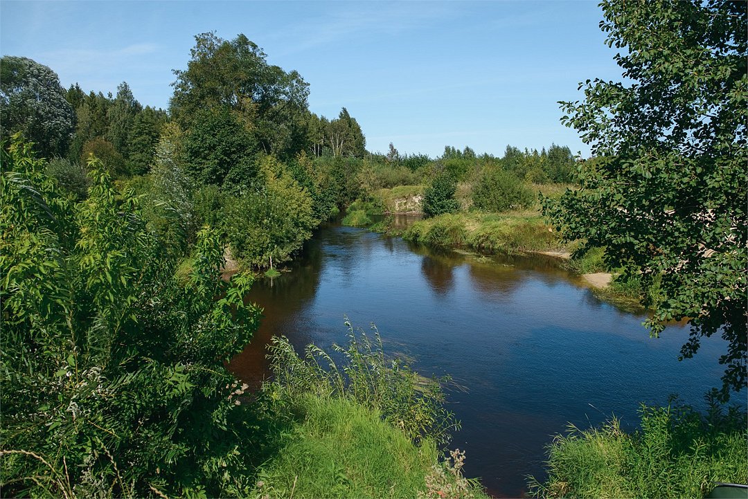 Эко-номер 5-местный 1-комнатный (в Гостевом доме)