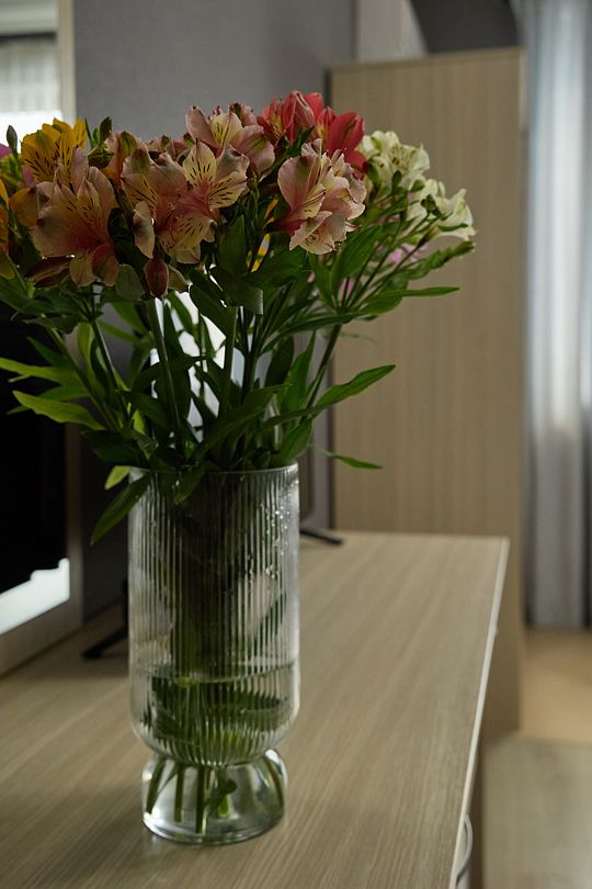 Семейный 4-местный 1-комнатный (с двухярусной кроватью)