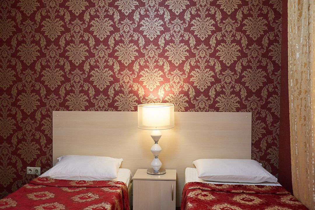 Стандартный 2-местный 1-комнатный TWIN