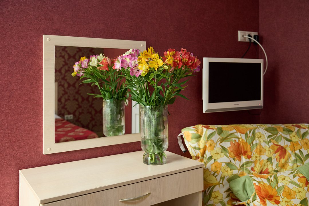 Стандартный 2-местный 1-комнатный TWIN