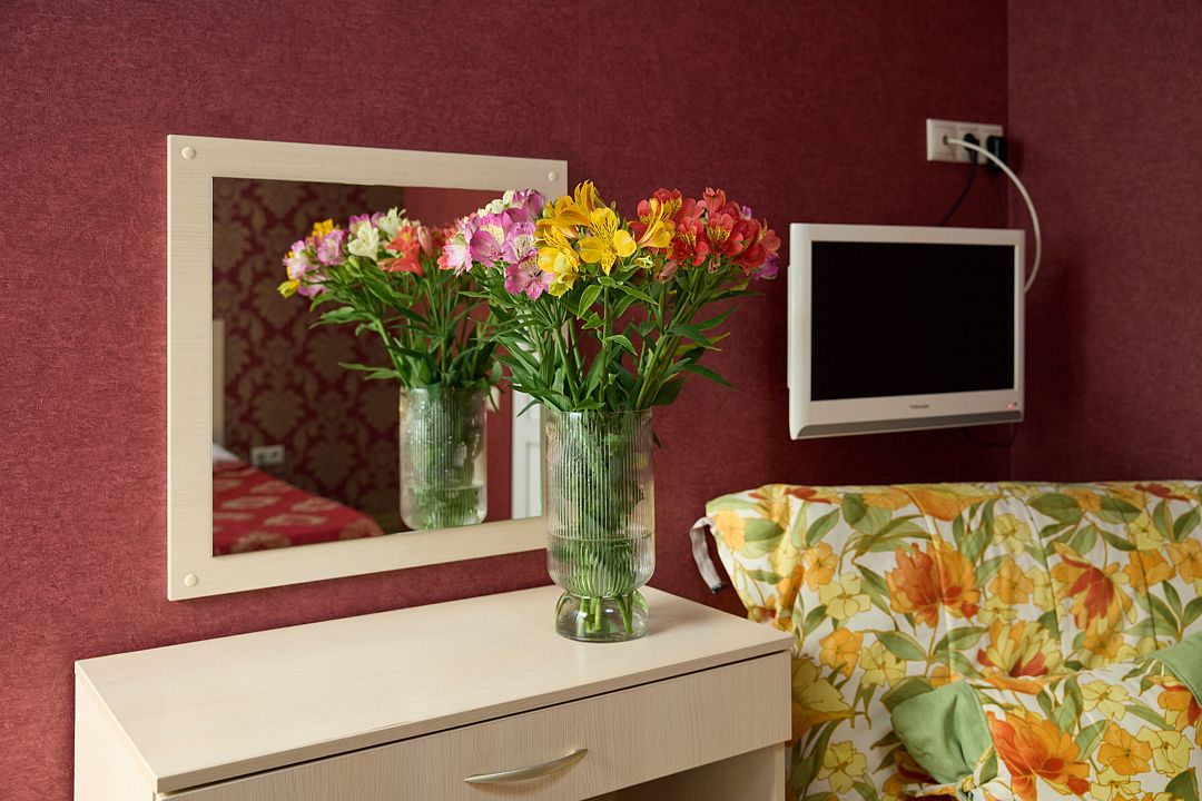 Стандартный 2-местный 1-комнатный TWIN