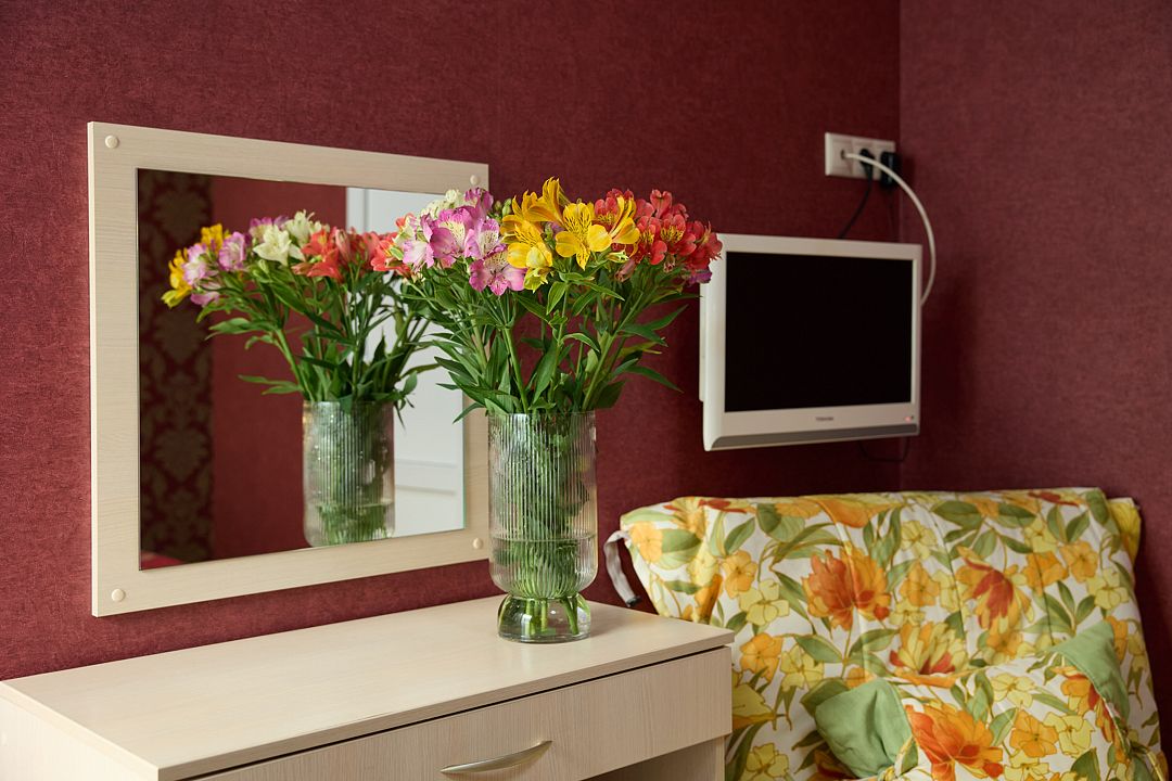 Стандартный 2-местный 1-комнатный TWIN