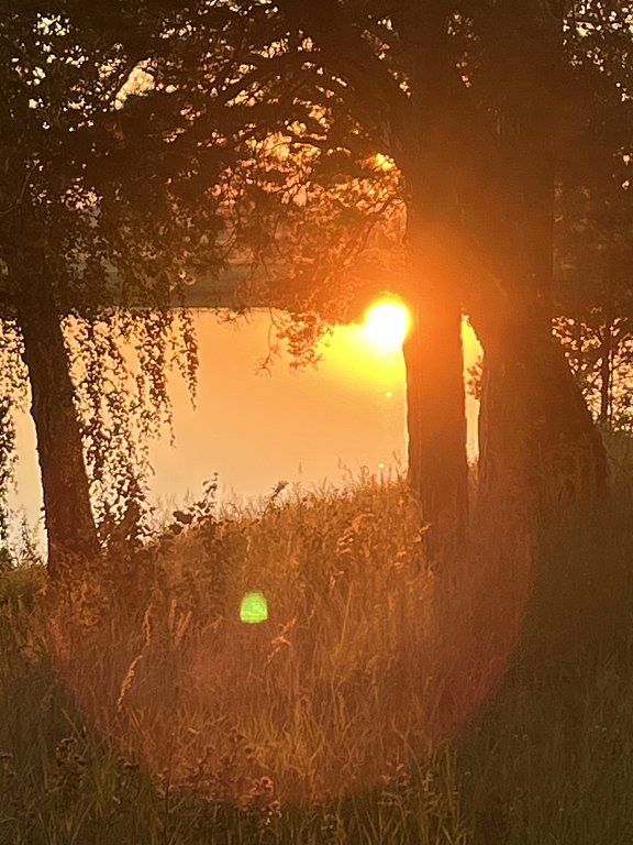 Фото из отзыва от 01.07.2025