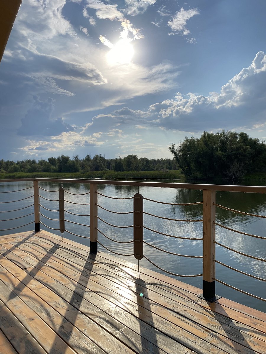 Фото 119 из отзыва о базе отдыха Донская Миля