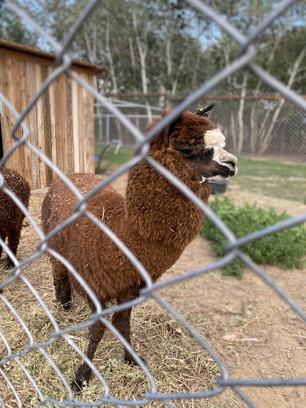 Фото 3 из отзыва о базе отдыха Донская Миля