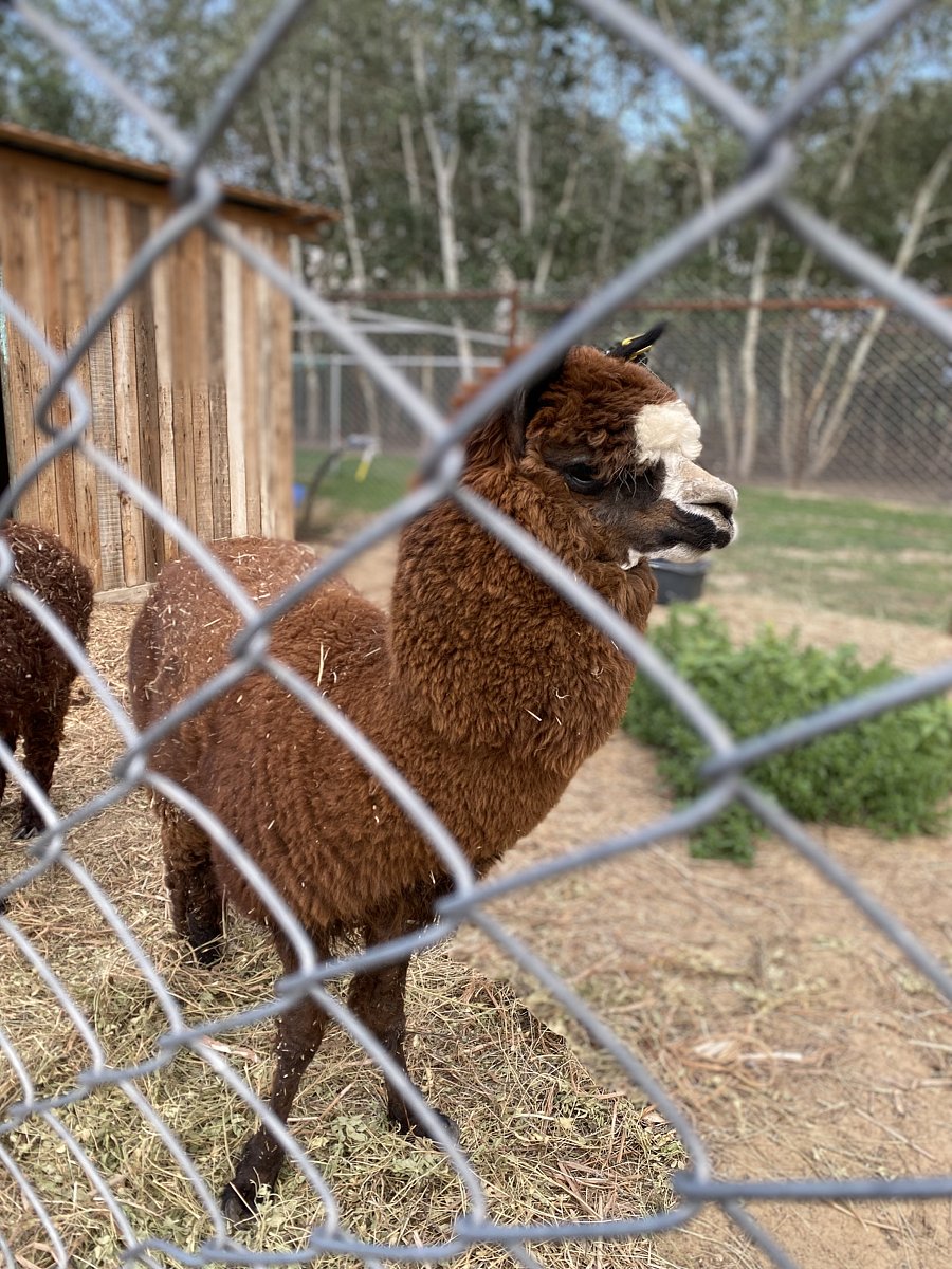 Фото 120 из отзыва о базе отдыха Донская Миля