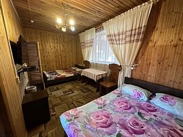 Коттедж, Гостевой дом Айская долина, село Ая