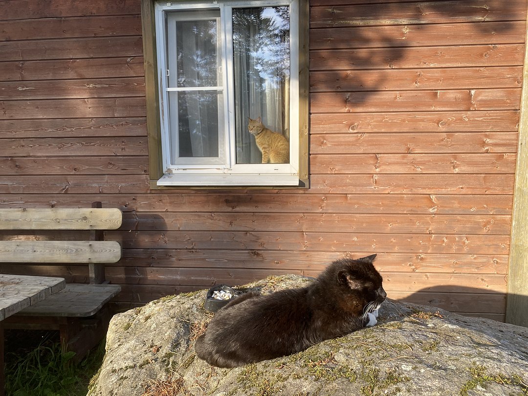 Фото 5 из отзыва об эко-комплексе Эко-хутор Ряйсяля