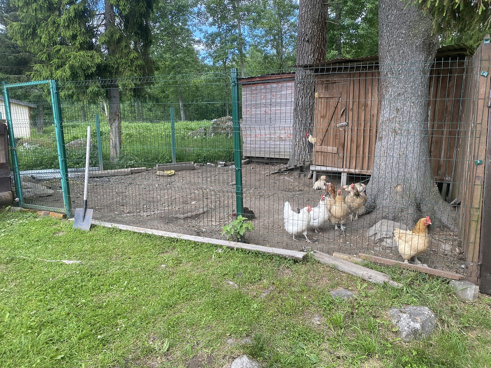 Фото 8 из отзыва об эко-комплексе Эко-хутор Ряйсяля