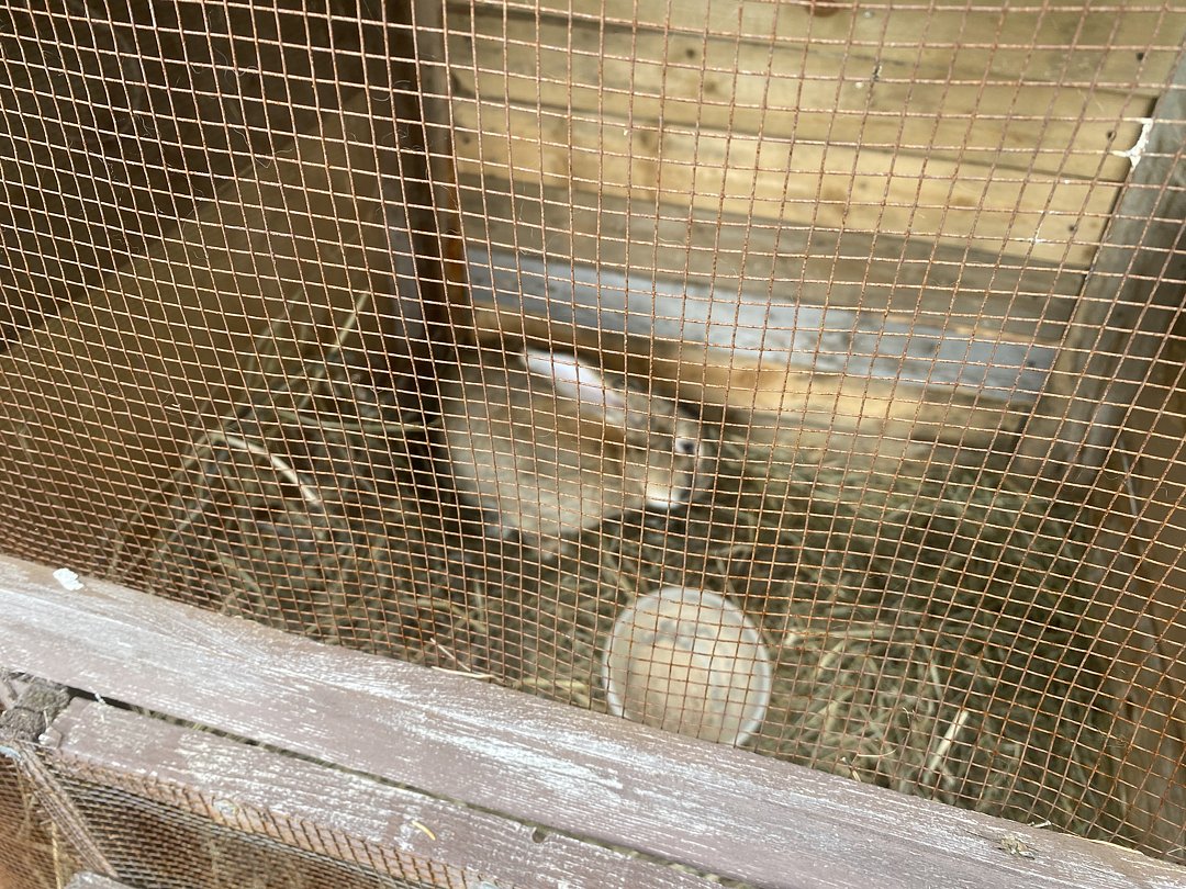 Фото 13 из отзыва об эко-комплексе Эко-хутор Ряйсяля