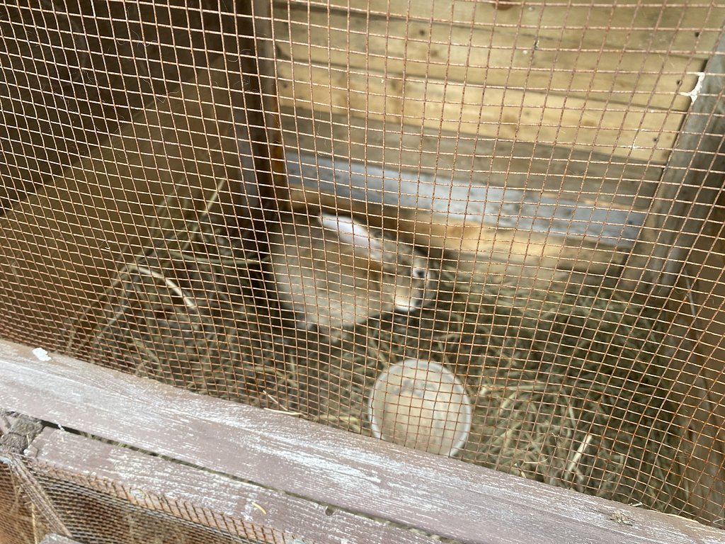 Фото из отзыва от 30.06.2025