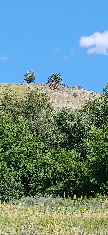 Фото 3 из отзыва о базе отдыха Донские зори