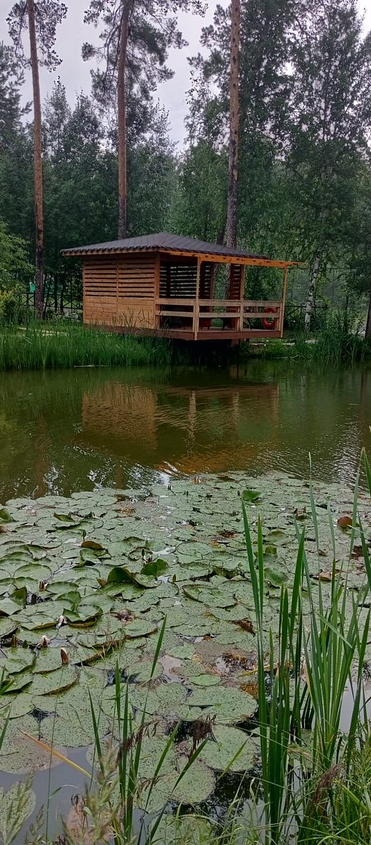 Фото 11 из отзыва о базе отдыха Светлая