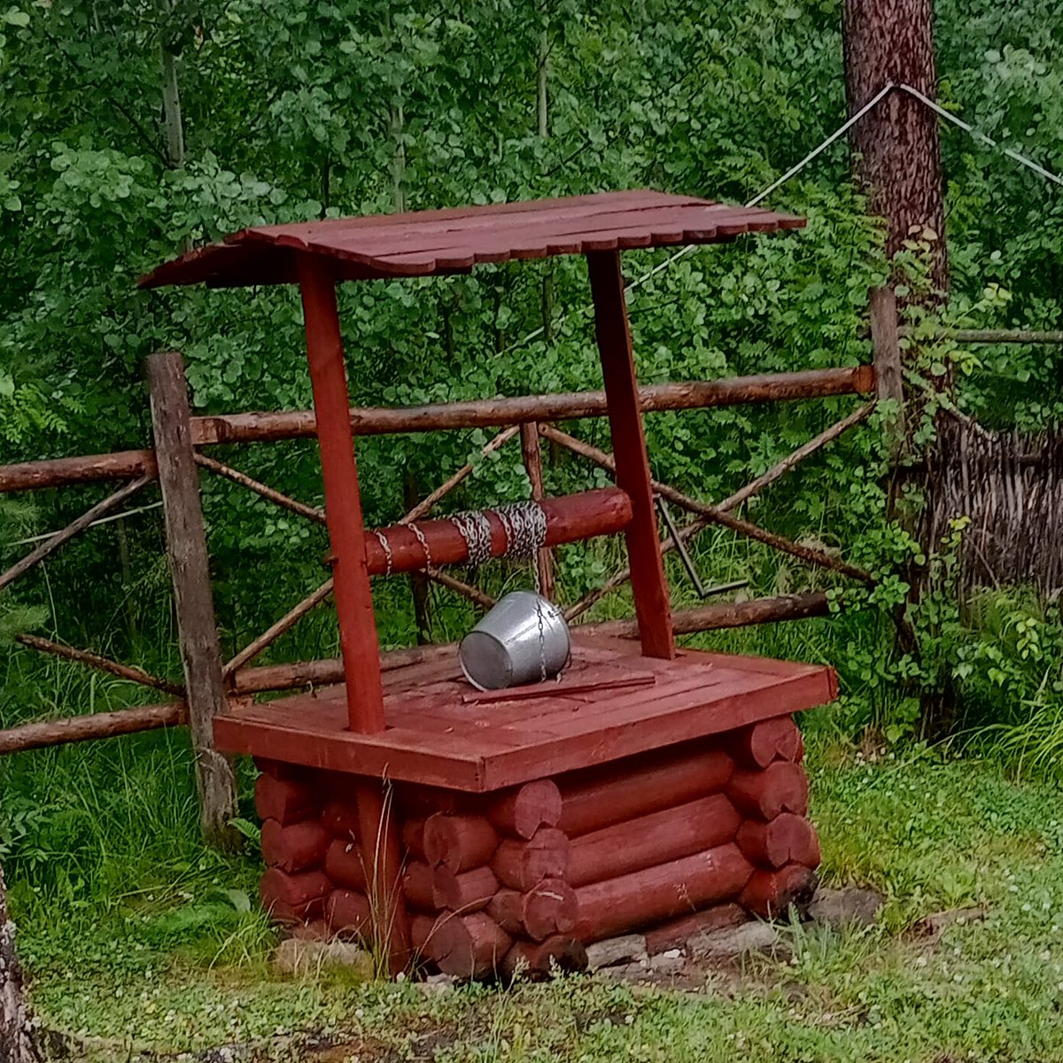 Фото 8 из отзыва о базе отдыха Светлая