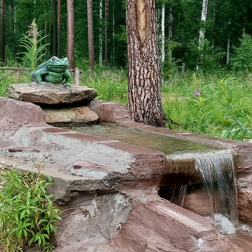 Фото 11 из отзыва о базе отдыха Светлая