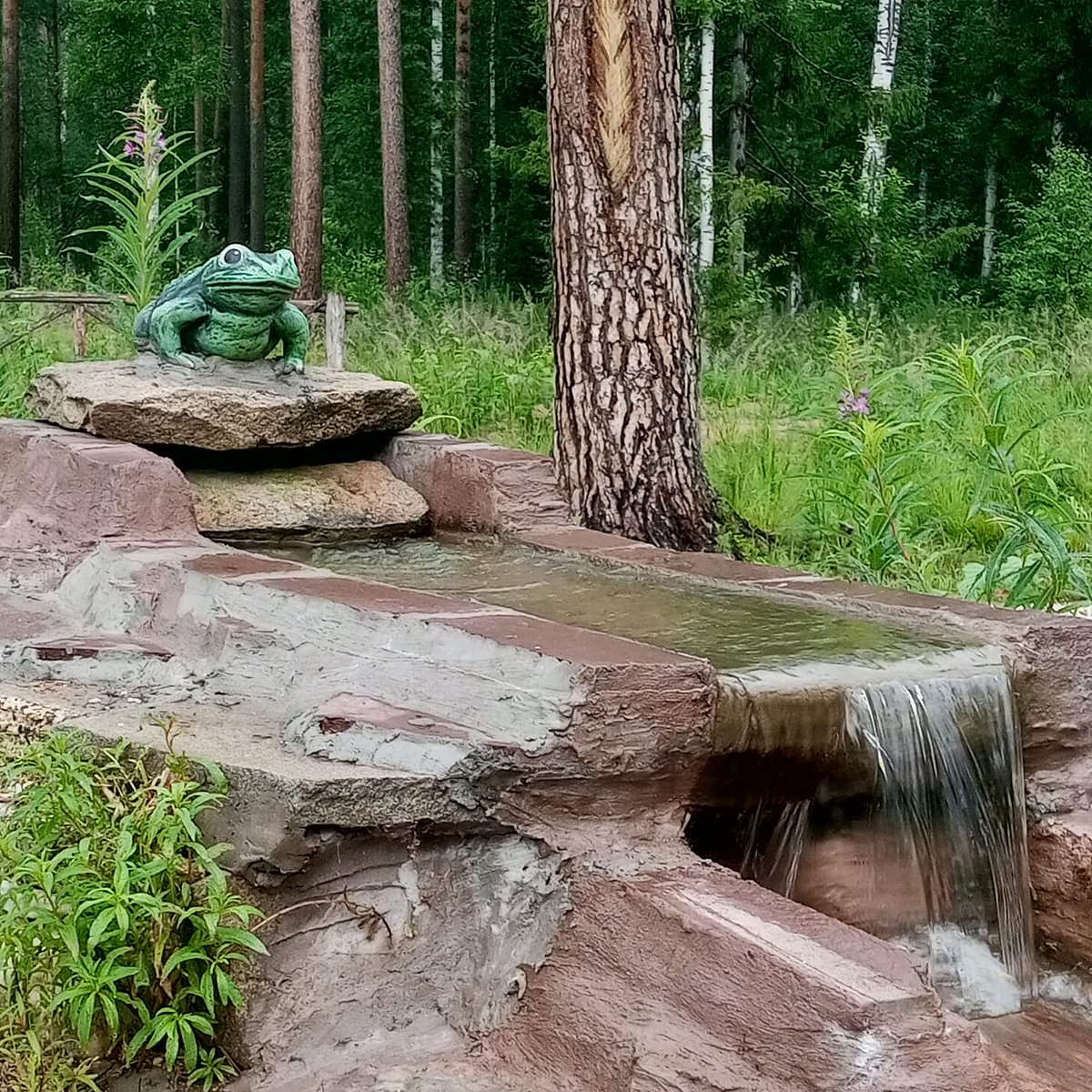 Фото 12 из отзыва о базе отдыха Светлая